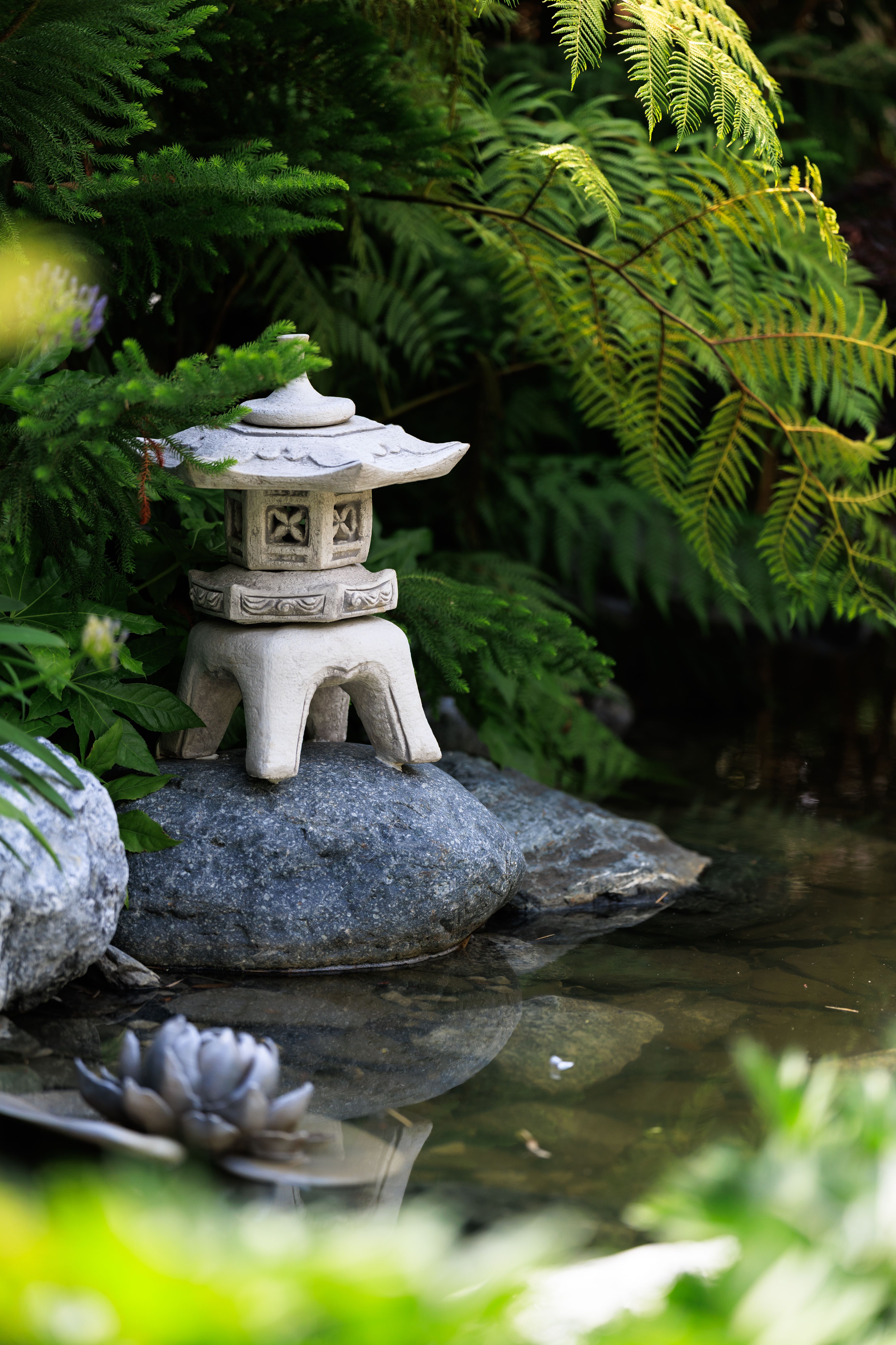 Steinlaterne zwischen Farnen in einem japanischen Garten